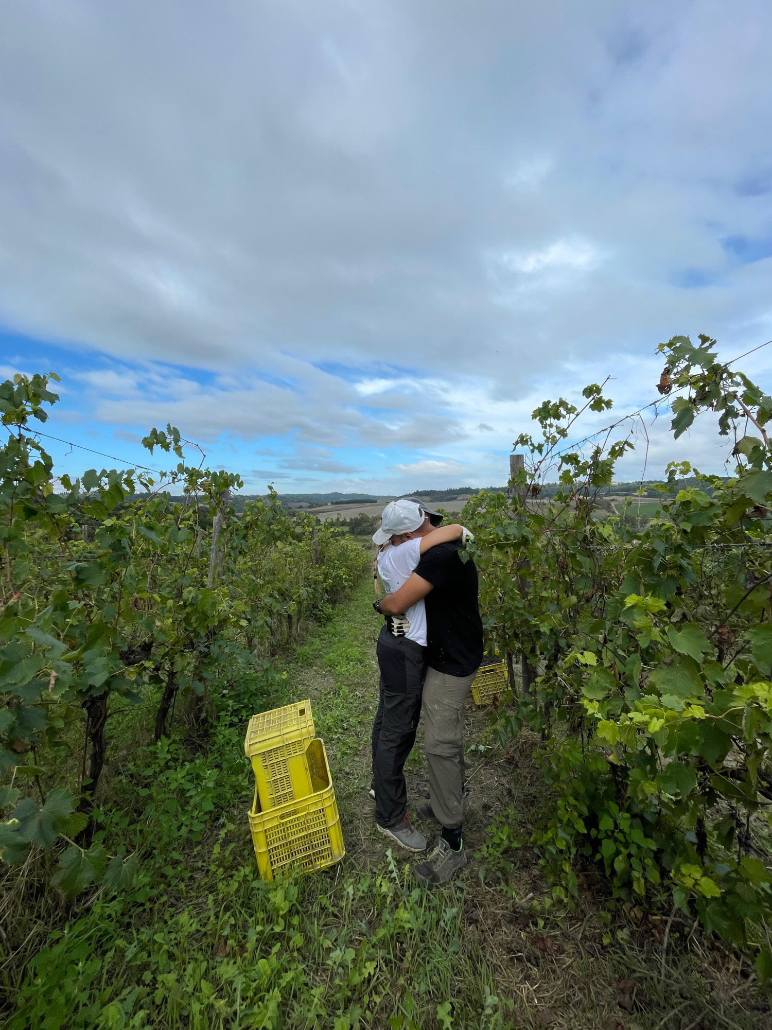 Persone insieme nella vigna di Podere il Pino
