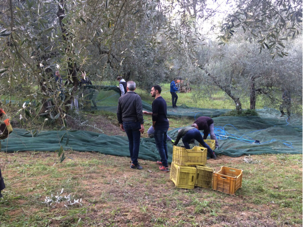 Qui non c’è solo la vigna.
