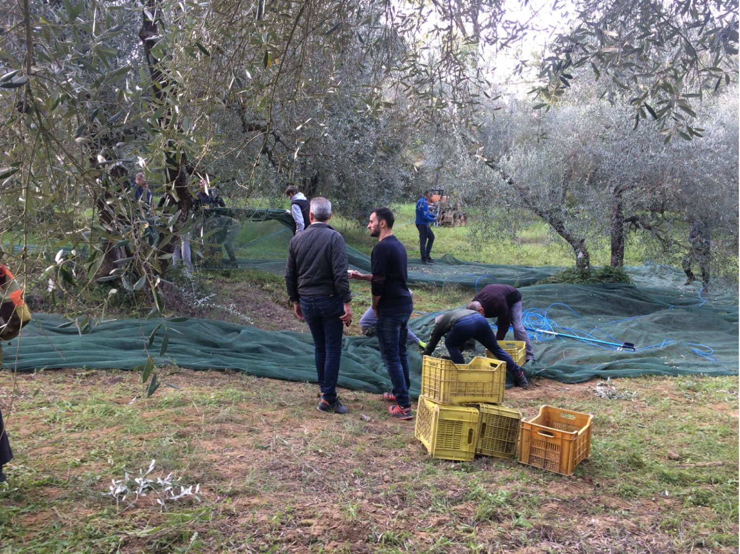 Qui non c’è solo la vigna.